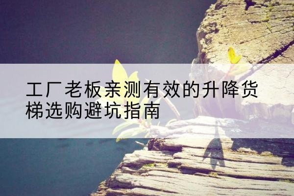 卢氏升降货梯怎么选-工厂老板亲测有效的升降货梯选购避坑指南