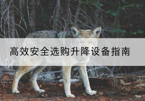 卢氏升降货梯厂家推荐-*安全选购升降设备指南