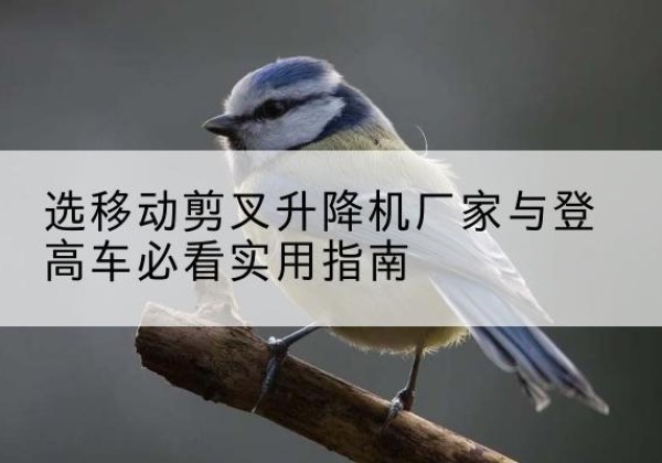 卢氏电动升降机厂家-选移动剪叉升降机厂家与登高车必看实用指南