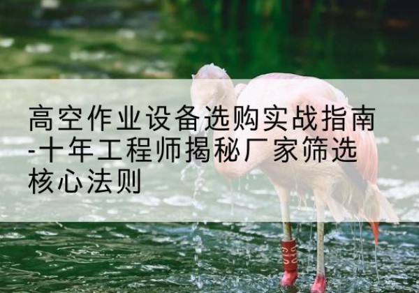 卢氏剪叉式升降机厂家-高空作业设备选购实战指南-十年工程师揭秘厂家筛选核心法则